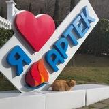 в артеке любят