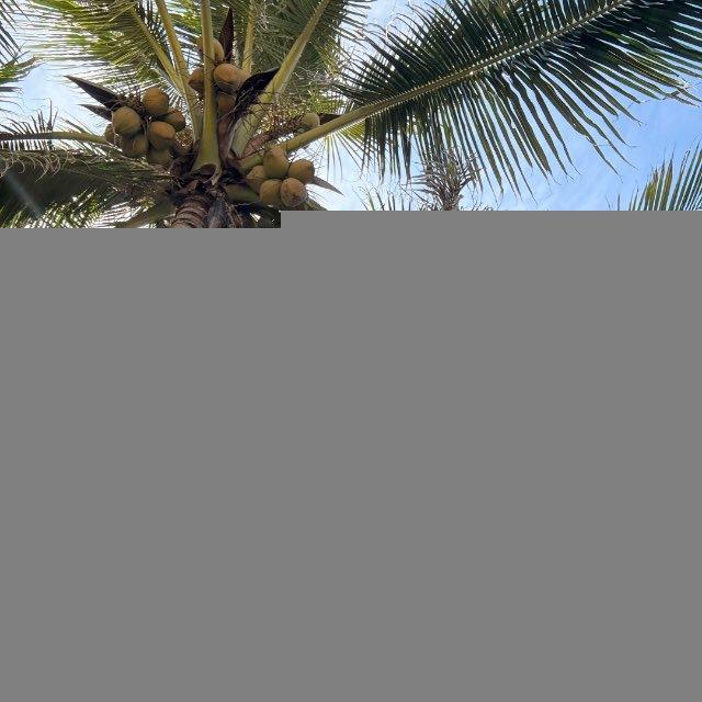 Турагентство Maya Travels🌴 горящие туры • отели