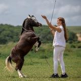 София | Коневладелец и Фотограф