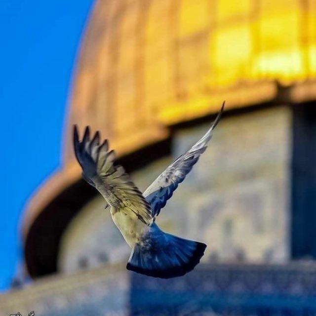 • عُمق | الطّوفان 𓂆