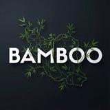 BAMBOO