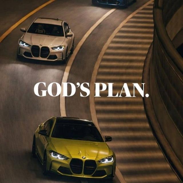 YW forex trader 🫳🤞
