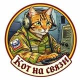 Кот на связи.