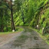 Uttrakhandi Songs (kumaoni &garhwali songs)