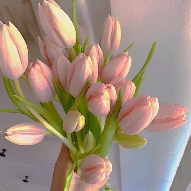 🔅文案💓头像🌸素材频道🍃