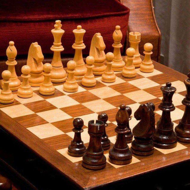 گنجینه شطرنج
