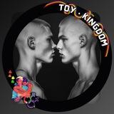 🎖️TOY • KINGDOM🎖️