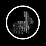 Follow The White Rabbit