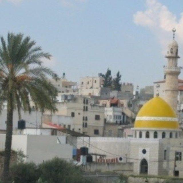 الخط الغربي جنين 🇵🇸