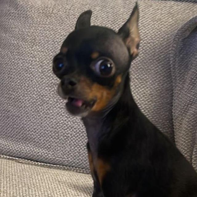 MNLT