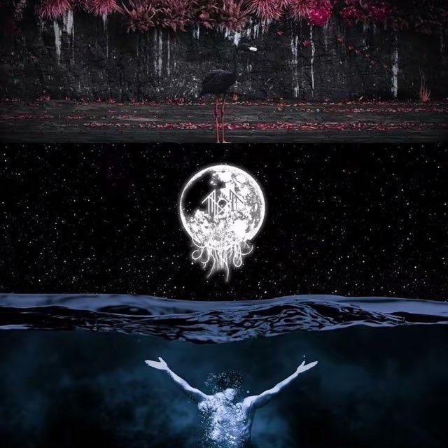 Nocturne Veins ☾