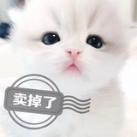 女娲思路反馈以及公益思路