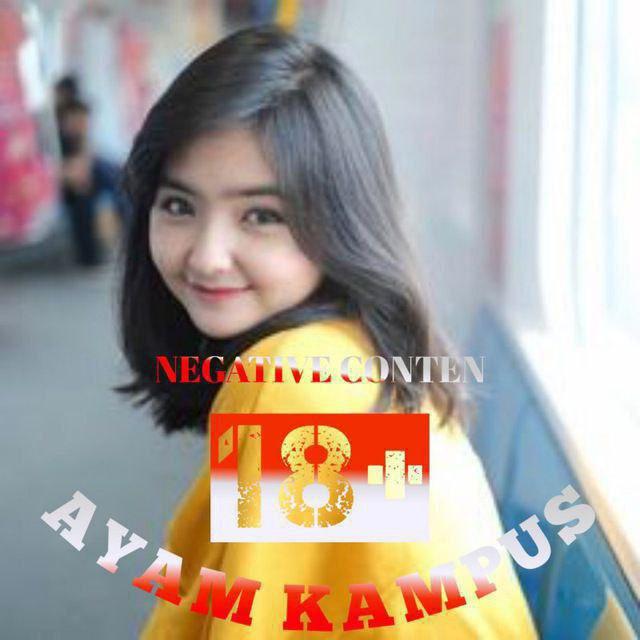 AYAM KAMPUS
