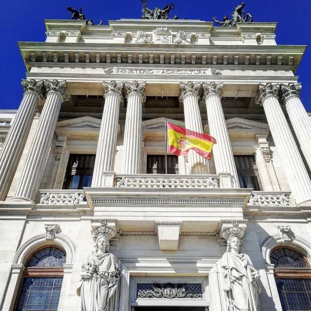 🇪🇸 AGE Madrid 👩‍💻🏙🇪🇸