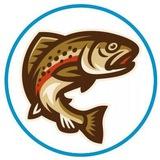 Forel__karelii.kzn🐟