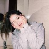 鑫谷DDOS官方通知频道