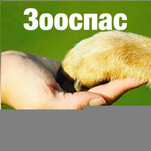 Зооспас_Магадан