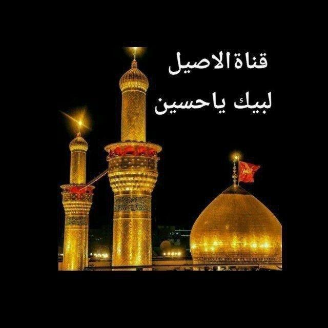 قناة الاصيل المهنيه