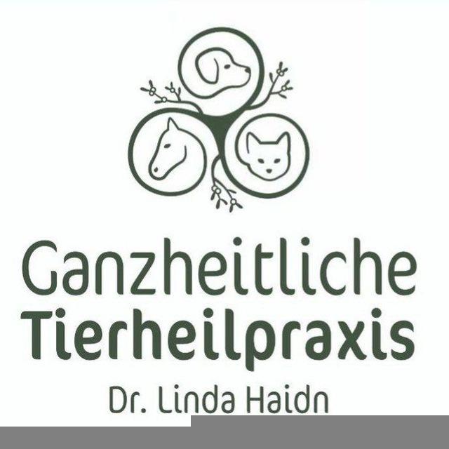 Ganzheitliche Tierheilpraxis Dr. Linda Haidn
