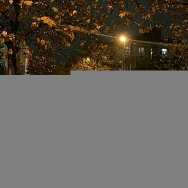 ⁺ Autumn 🍁𝙀𝙑𝙀𝙉𝙏𝙎 . ⟢ 🐾🎃☕ / ивенты