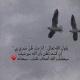 نصر الله قريب ••