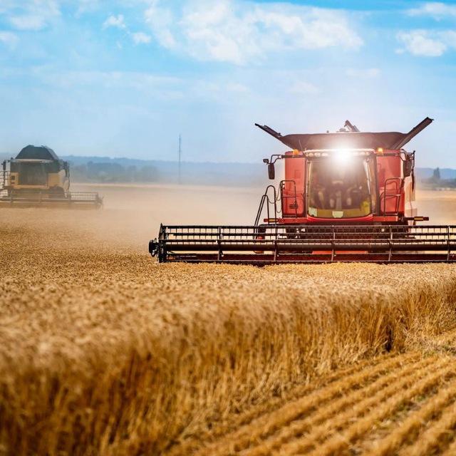 АгроМир🌽🌾🌻 ПОКУПКА/ПРОДАЖА СЫРЬЯ🌽🌻🌾