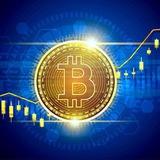 Crypto Insights
