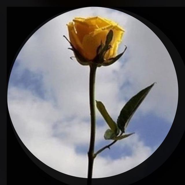 إقتباسات دينيه🌻🍃