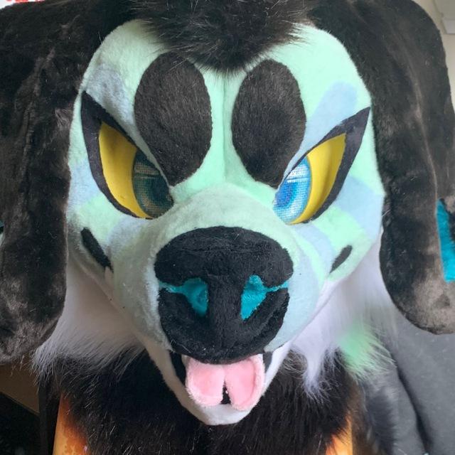Bad Dog