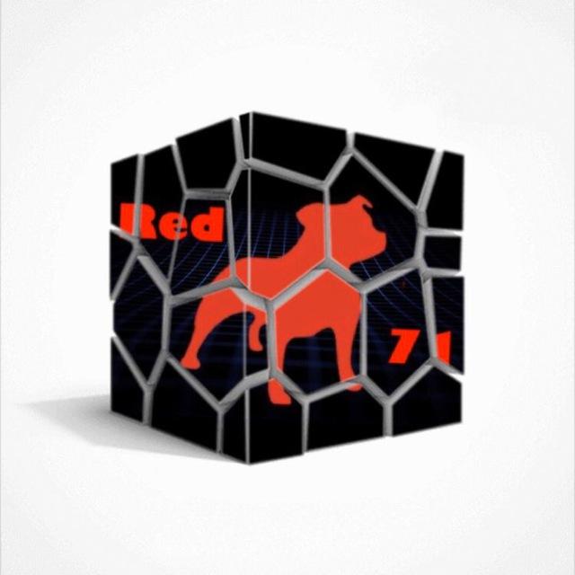 Red Dog 71 Media