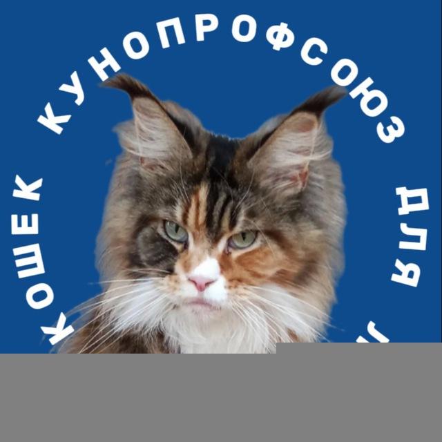 Кунопрофсоюз Rizanter 🐈‍⬛