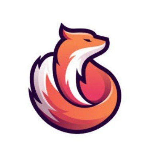فیلترشکن فاکس | VPN