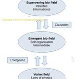 Subtle Energy / Healing Resources (Field Biology)