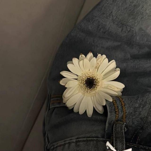 مشاعر .
