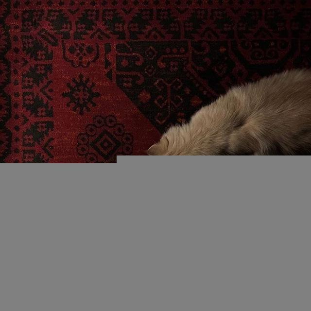 لـ فاطمه َ. ♥.