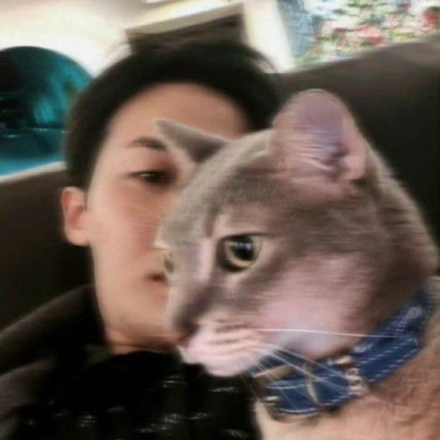 上货通知