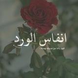 صباح الخير ، انفاس الورد