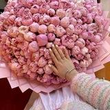 𝒶𝓂𝒾𝓃𝑒𝓈𝓈𝒶💌