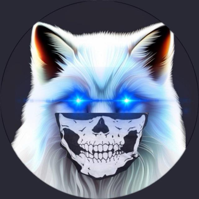 Foxx Den 🦊