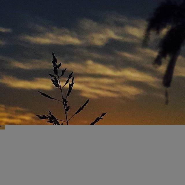 نفح الطِّيِب.. استوريات واقتباسات.🌸