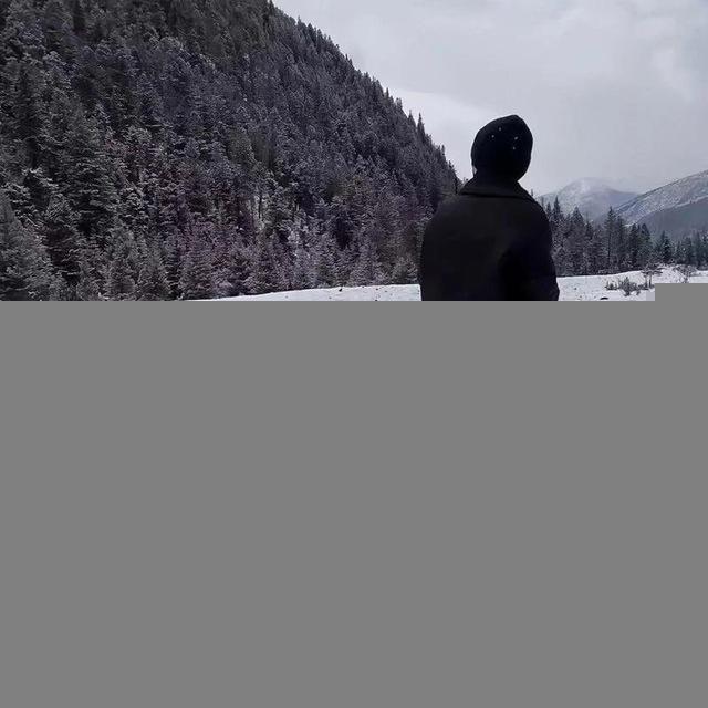 花落海内外一手源头数据