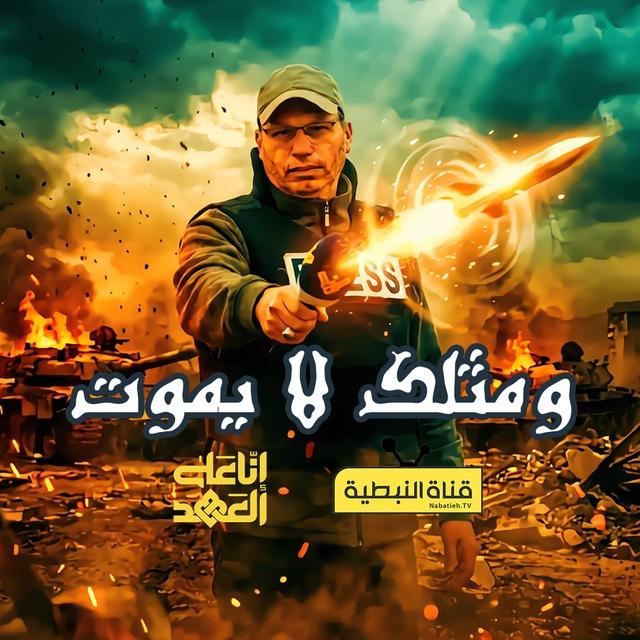 قناة النبطية