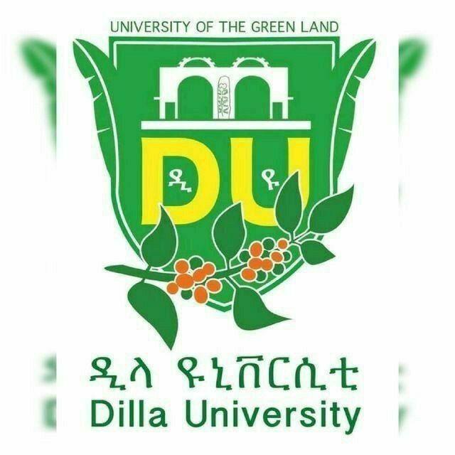 Dilla university info & all exams