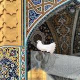 المُنتَـظَر.