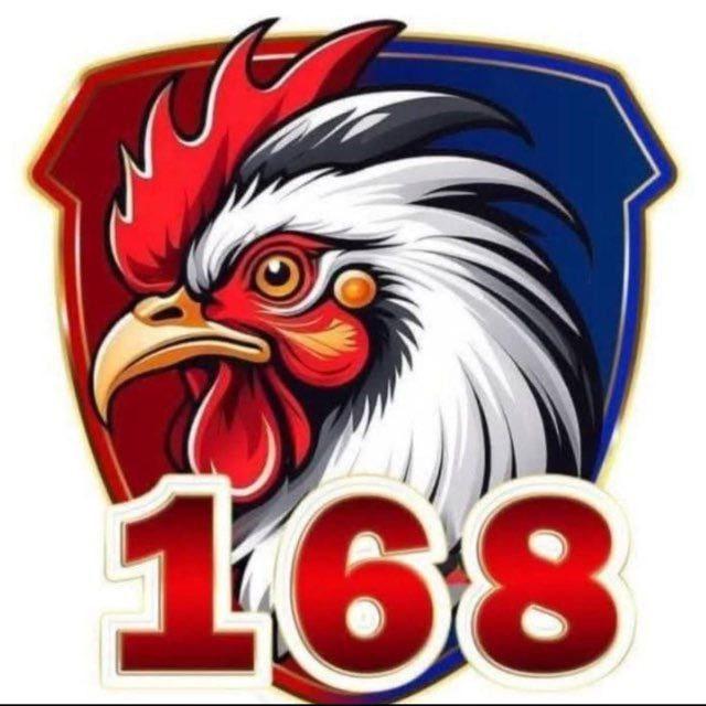 FX168 នាំសំណាង