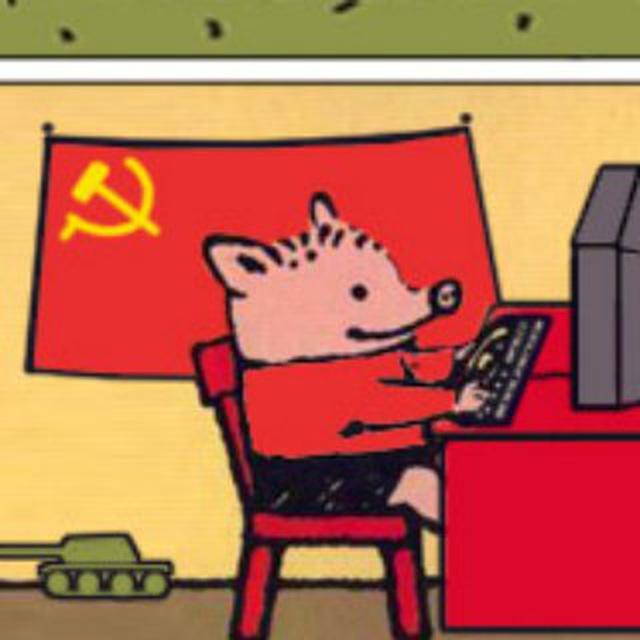 DV Politics