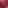 Rose Premium