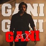 GANI EFX