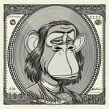 Defi finder