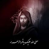 أحباب الحسين 🖤،